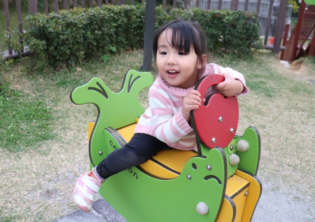 IMG_4202kai.JPG
