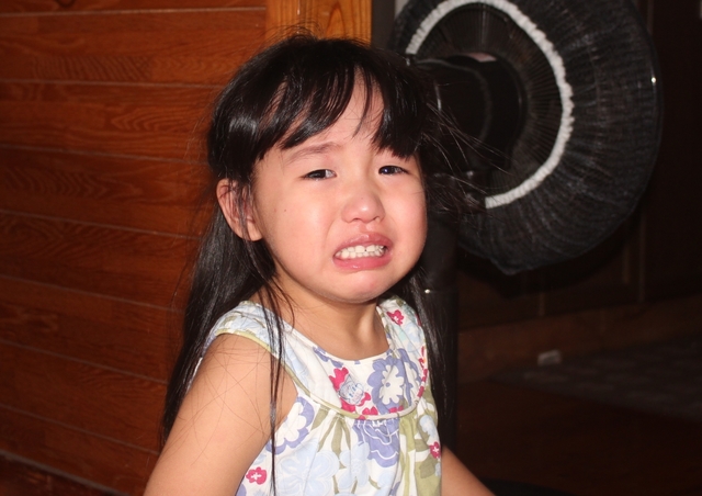 IMG_6282kai.JPG